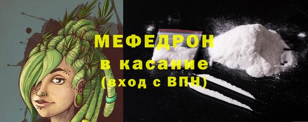 индика Аркадак