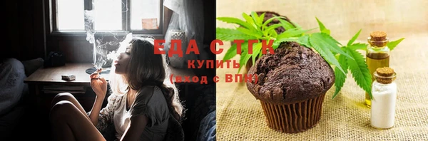 индика Богородицк