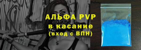 индика Аркадак
