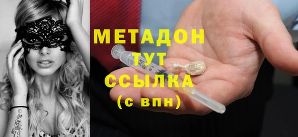прущие грибы Богданович