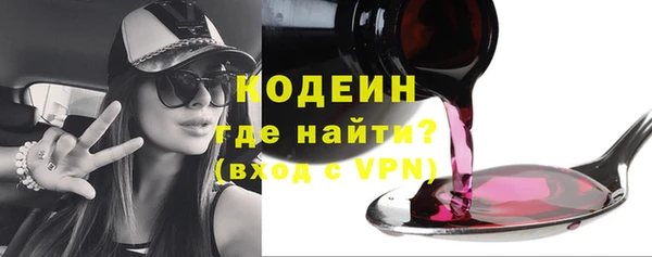 прущие грибы Богданович