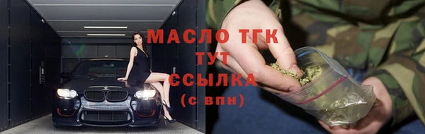 индика Богородицк