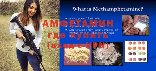 прущие грибы Богданович