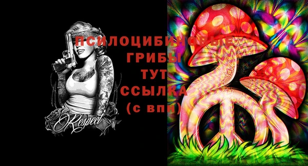 индика Аркадак