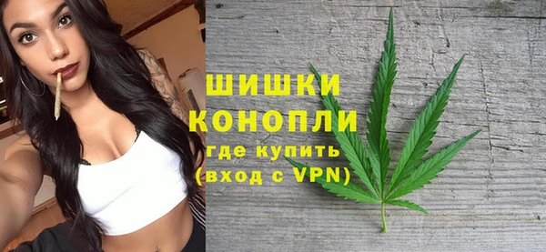 индика Аркадак