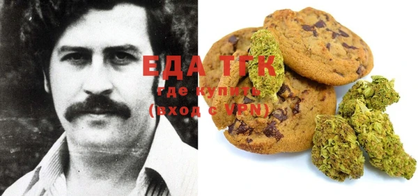индика Богородицк