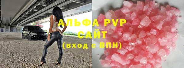 индика Аркадак