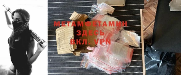 индика Аркадак
