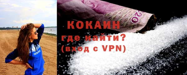 индика Аркадак