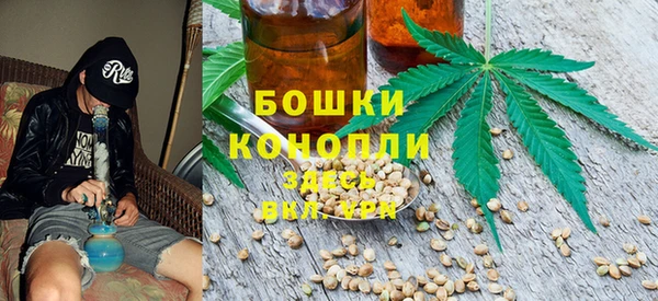индика Богородицк