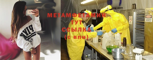 прущие грибы Богданович